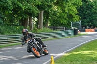 Middle Group Black Bikes
